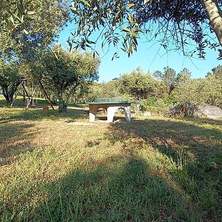 Quinta da Pedra Mija Affittacamere Santar Esterno foto