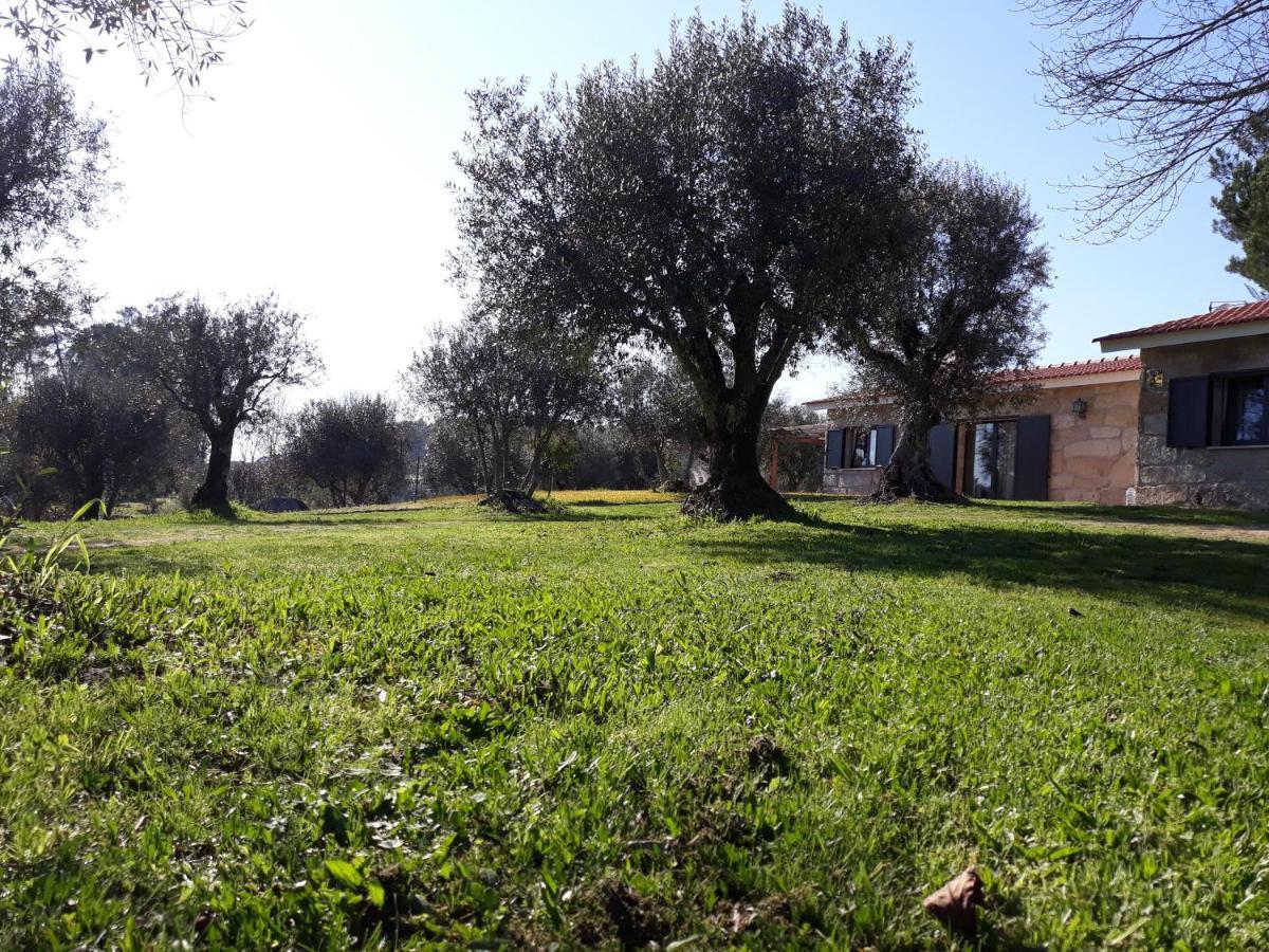 Quinta da Pedra Mija Affittacamere Santar Esterno foto