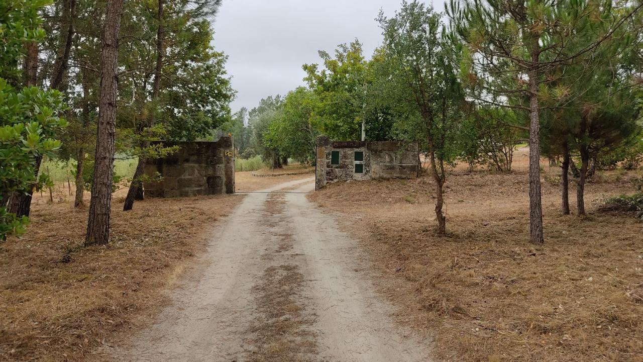 Quinta da Pedra Mija Affittacamere Santar Esterno foto