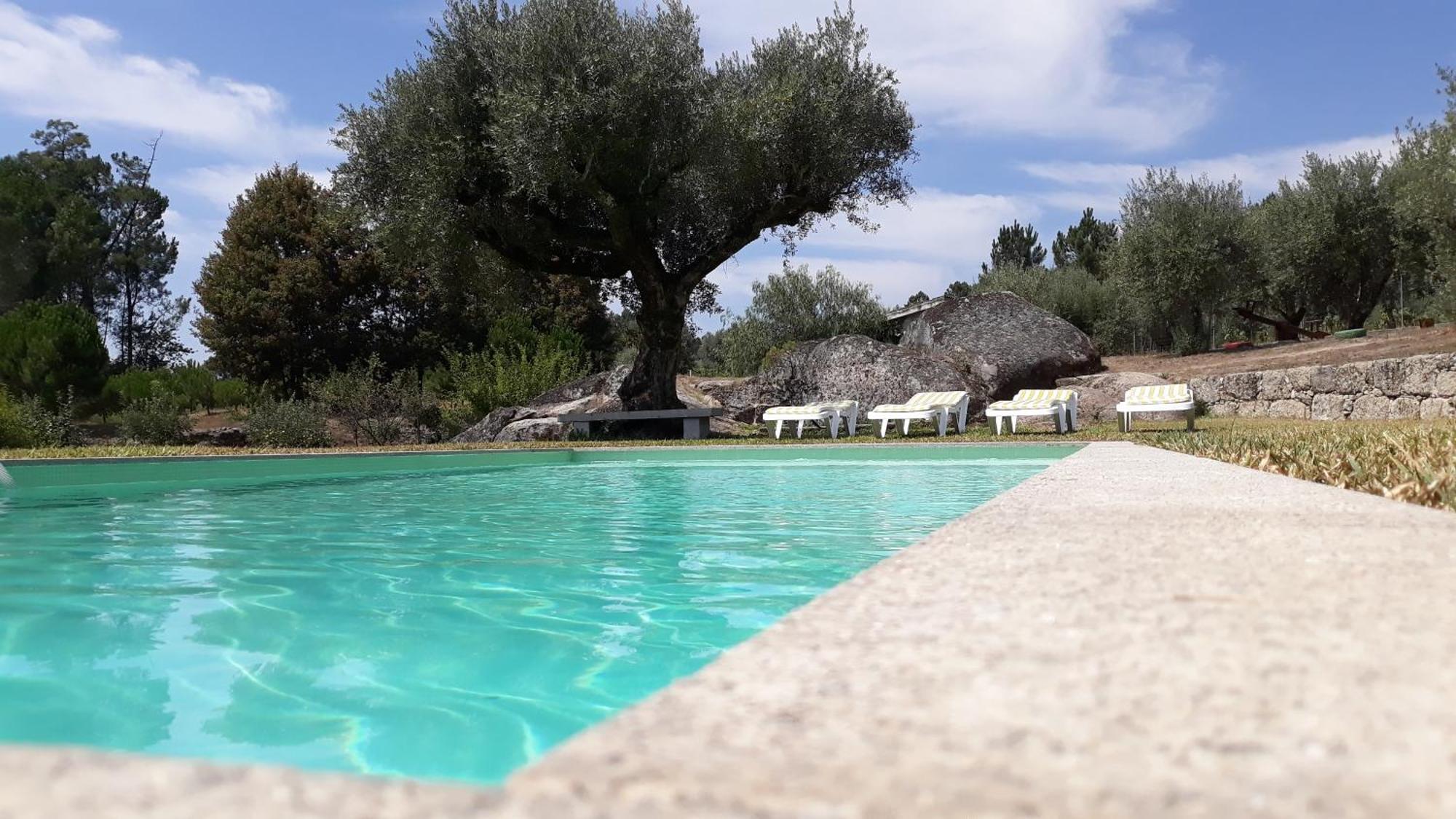 Quinta da Pedra Mija Affittacamere Santar Esterno foto