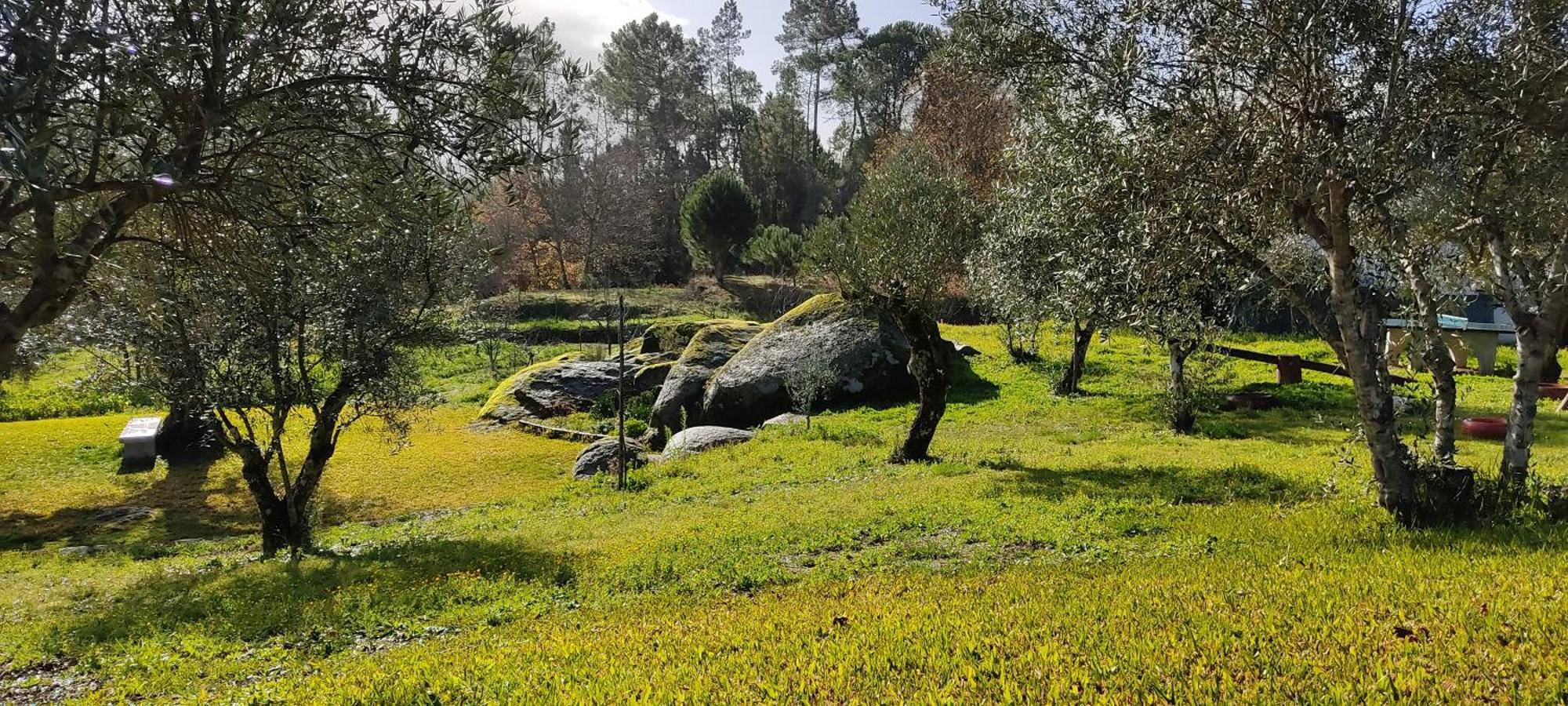 Quinta da Pedra Mija Affittacamere Santar Esterno foto