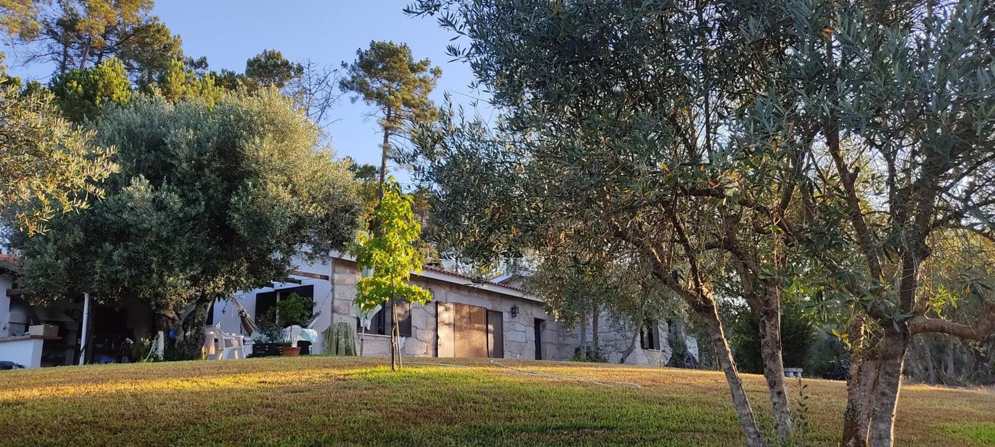 Quinta da Pedra Mija Affittacamere Santar Esterno foto