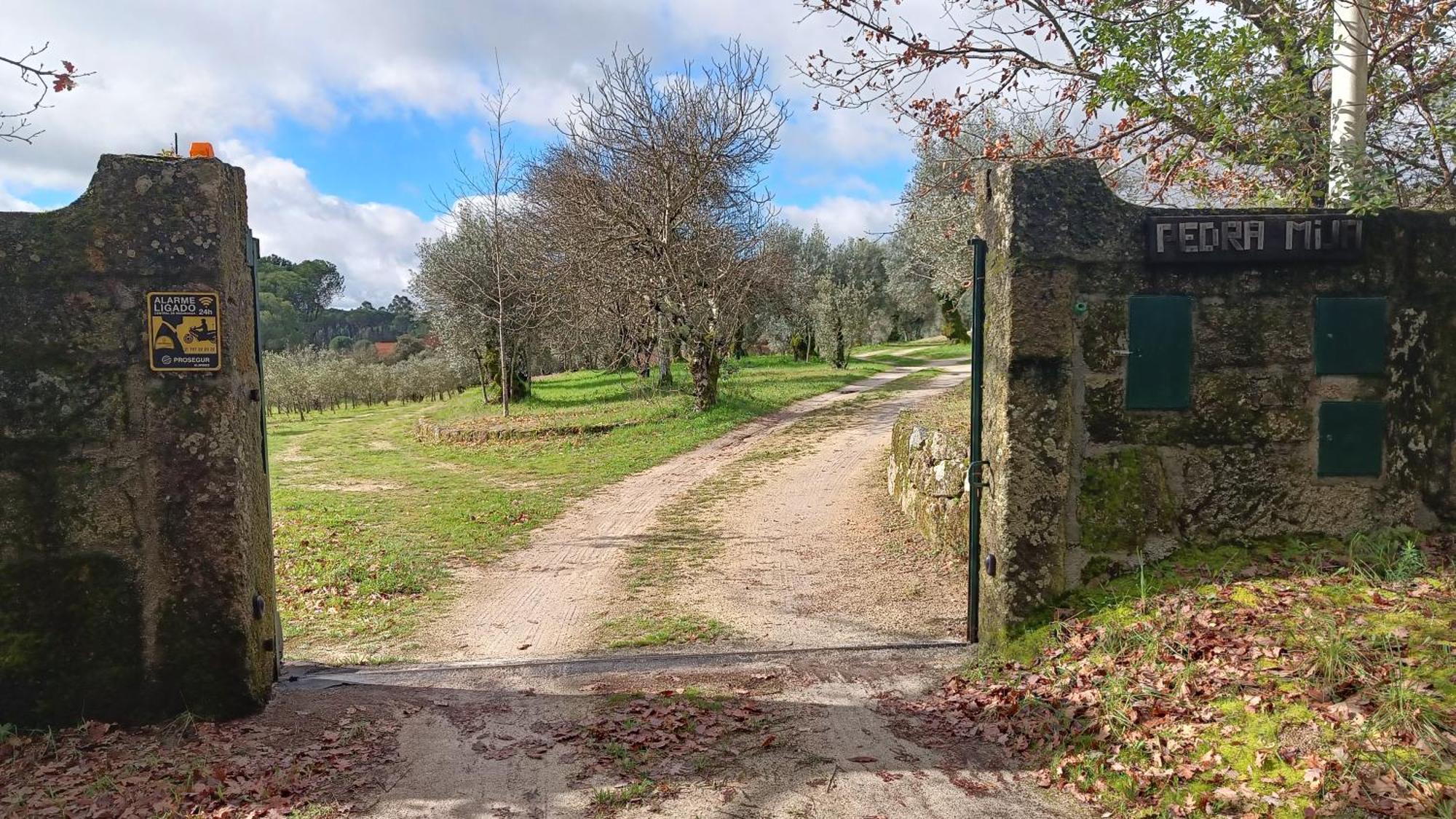 Quinta da Pedra Mija Affittacamere Santar Esterno foto