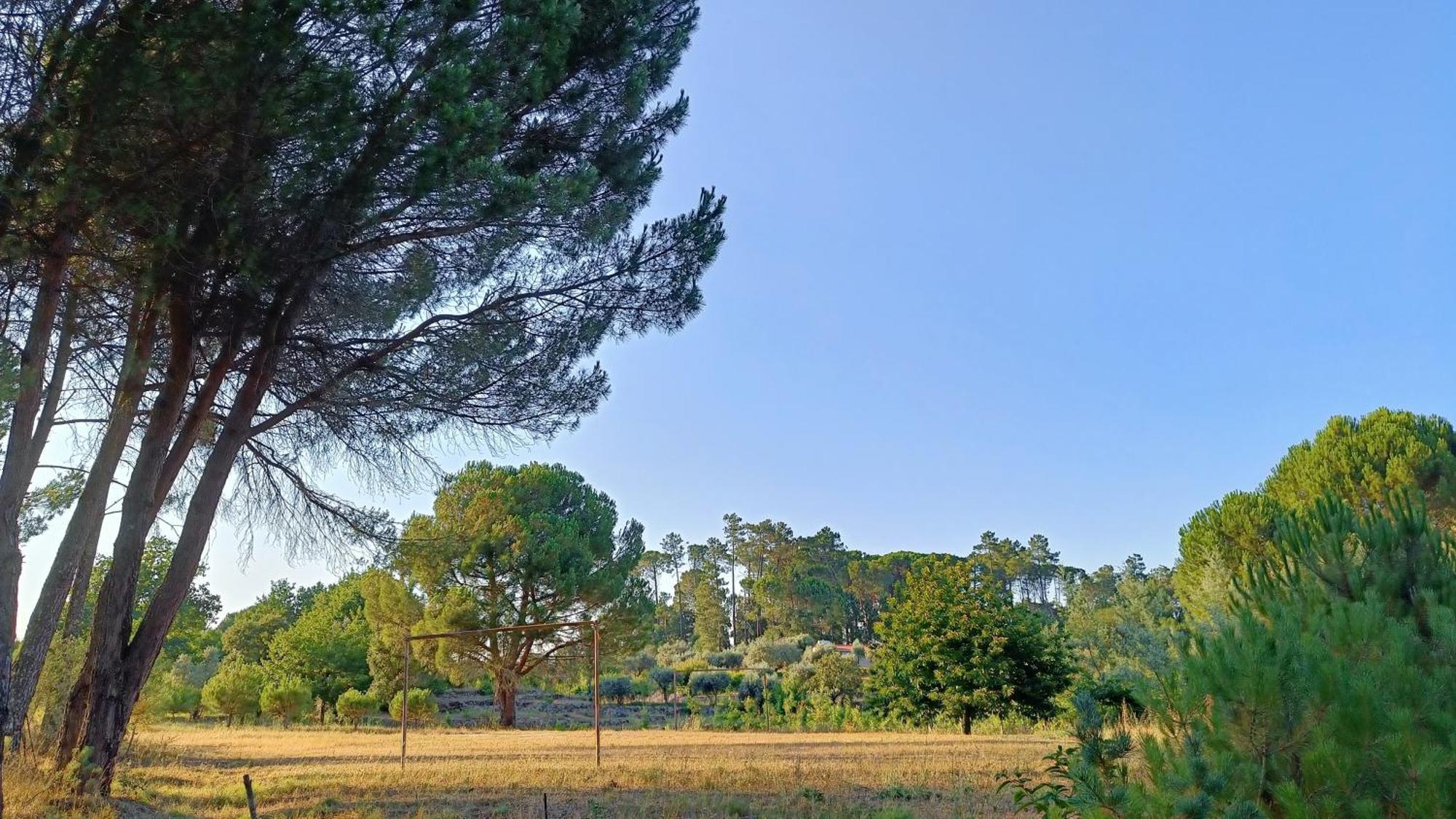 Quinta da Pedra Mija Affittacamere Santar Esterno foto