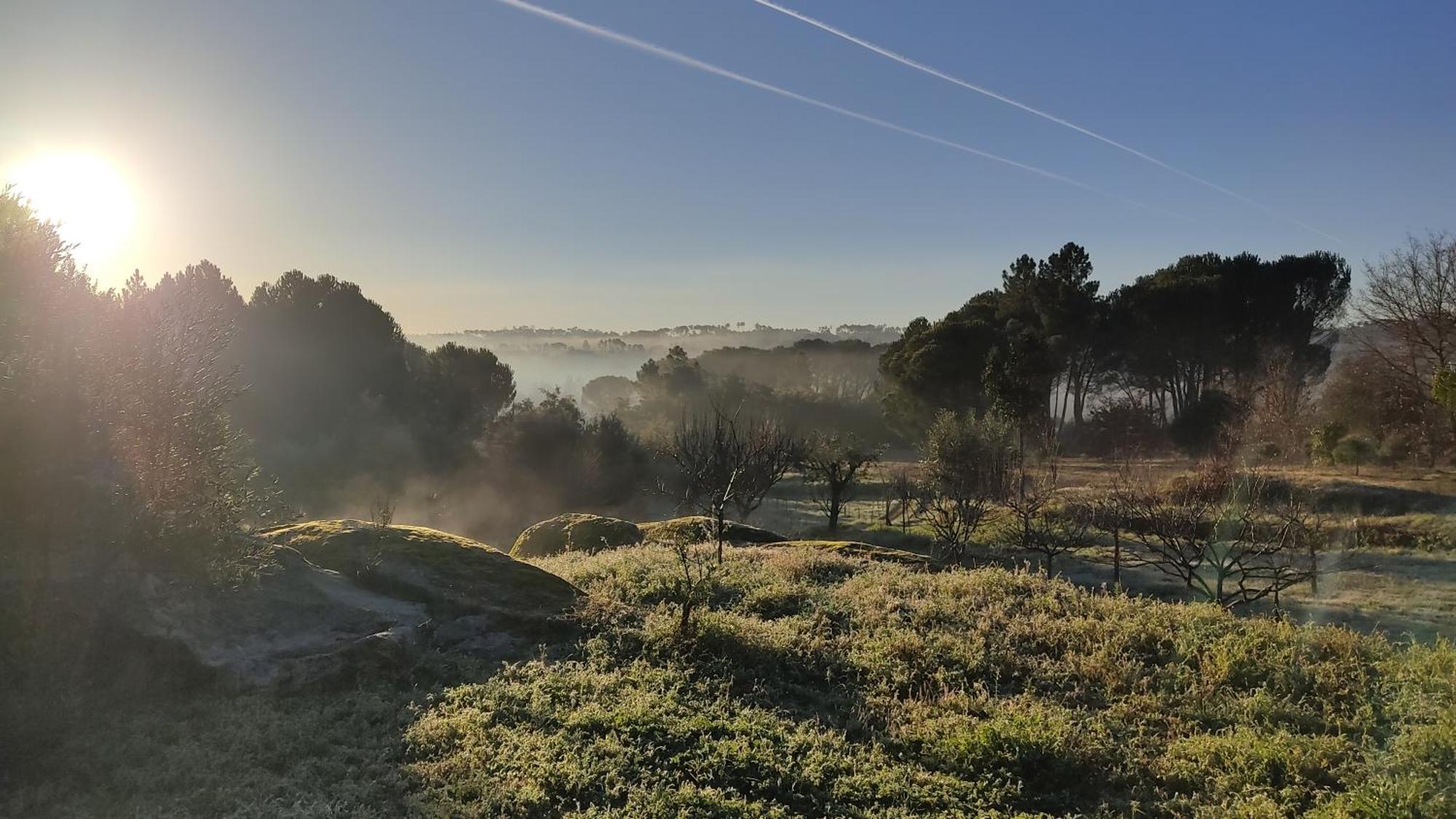 Quinta da Pedra Mija Affittacamere Santar Esterno foto