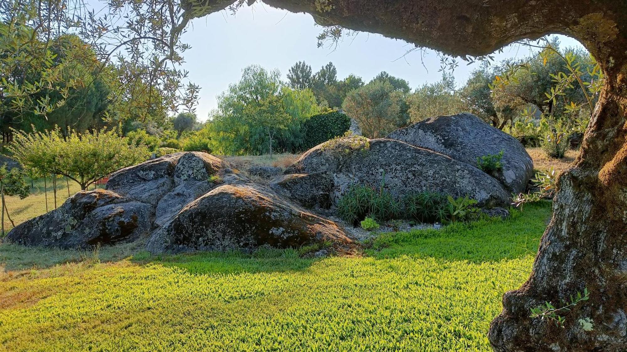 Quinta da Pedra Mija Affittacamere Santar Esterno foto