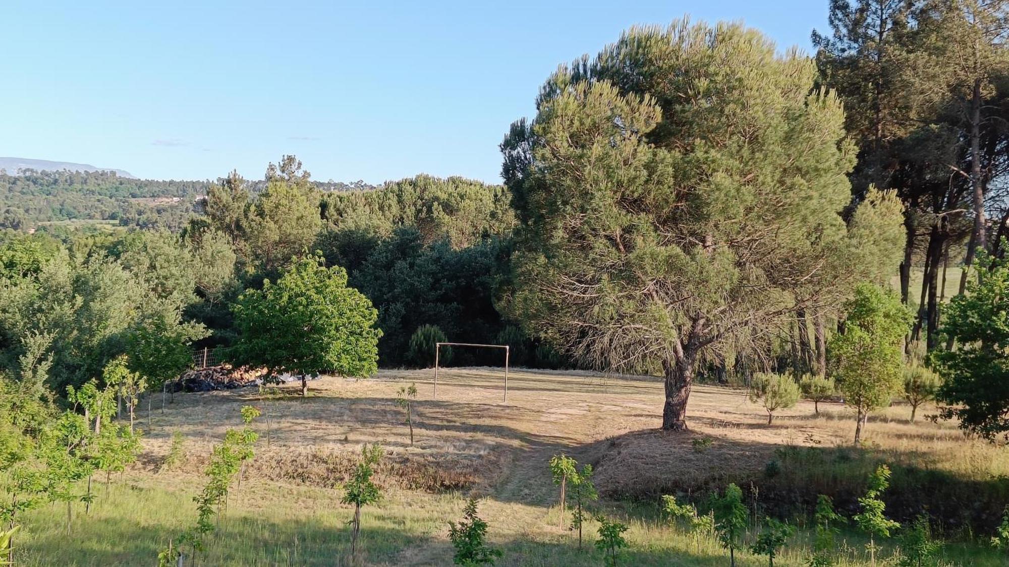 Quinta da Pedra Mija Affittacamere Santar Esterno foto