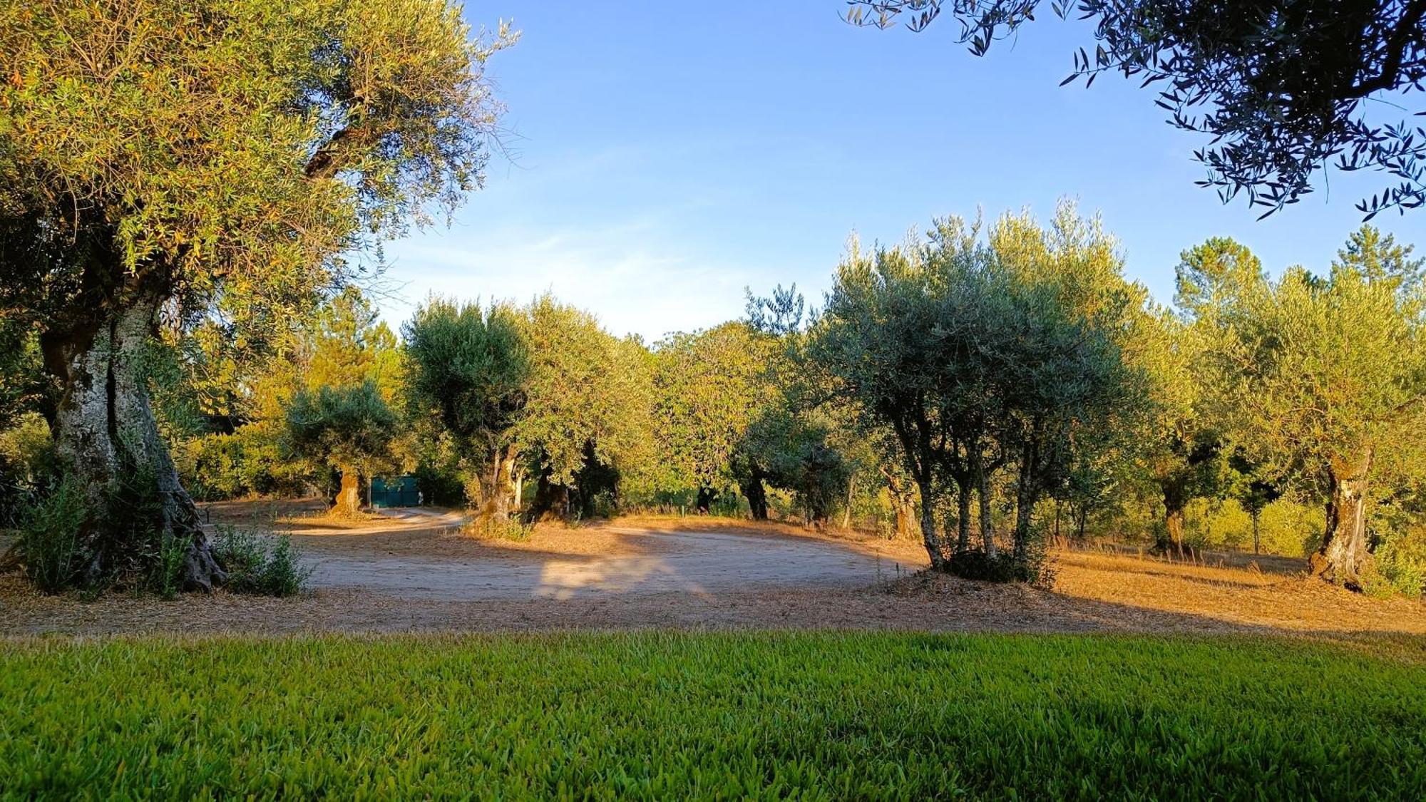 Quinta da Pedra Mija Affittacamere Santar Esterno foto