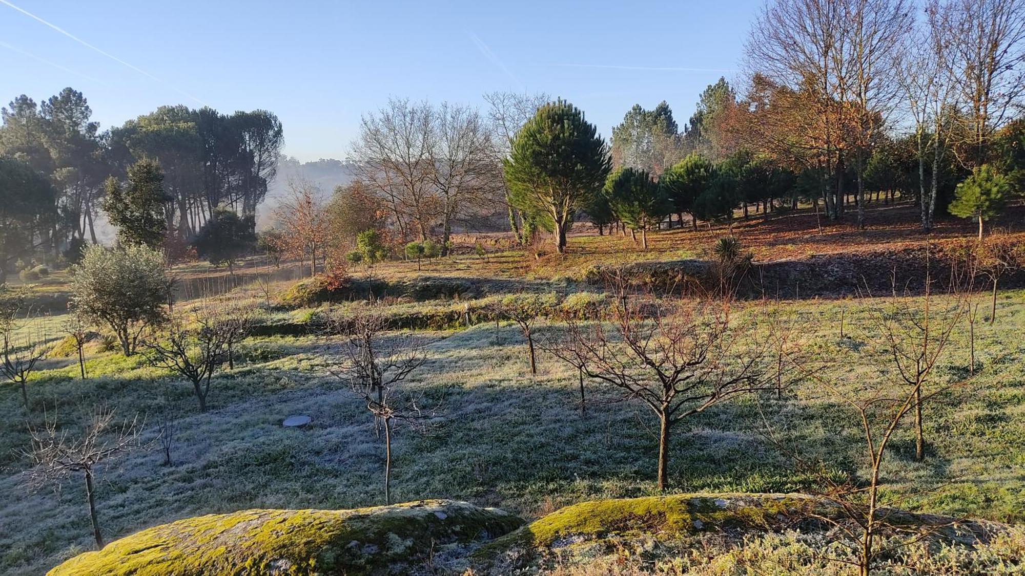 Quinta da Pedra Mija Affittacamere Santar Esterno foto