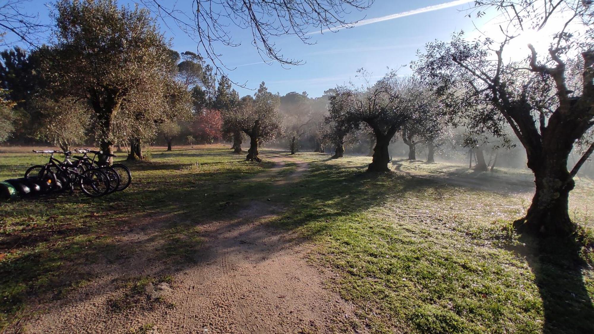 Quinta da Pedra Mija Affittacamere Santar Esterno foto