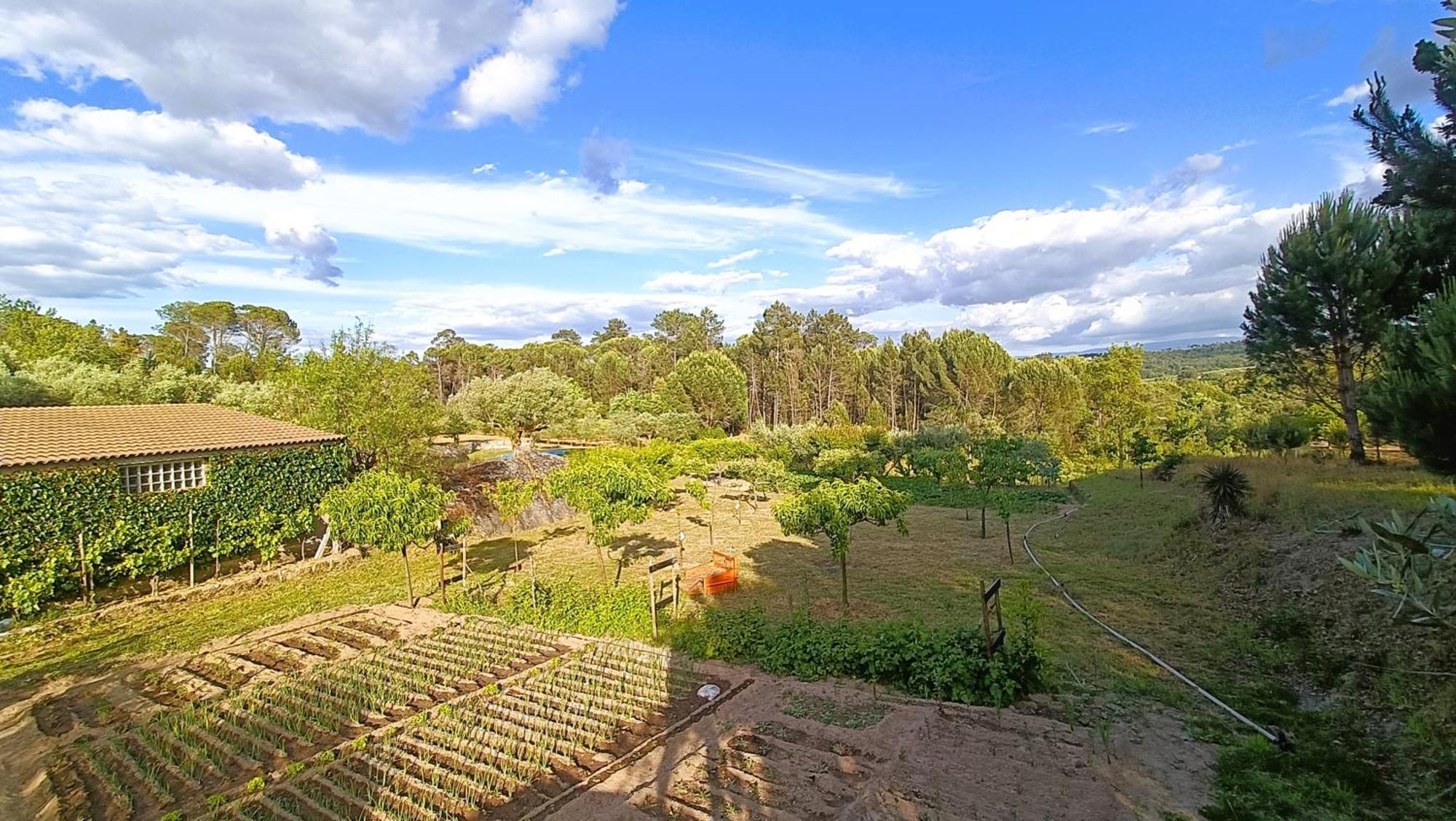 Quinta da Pedra Mija Affittacamere Santar Esterno foto