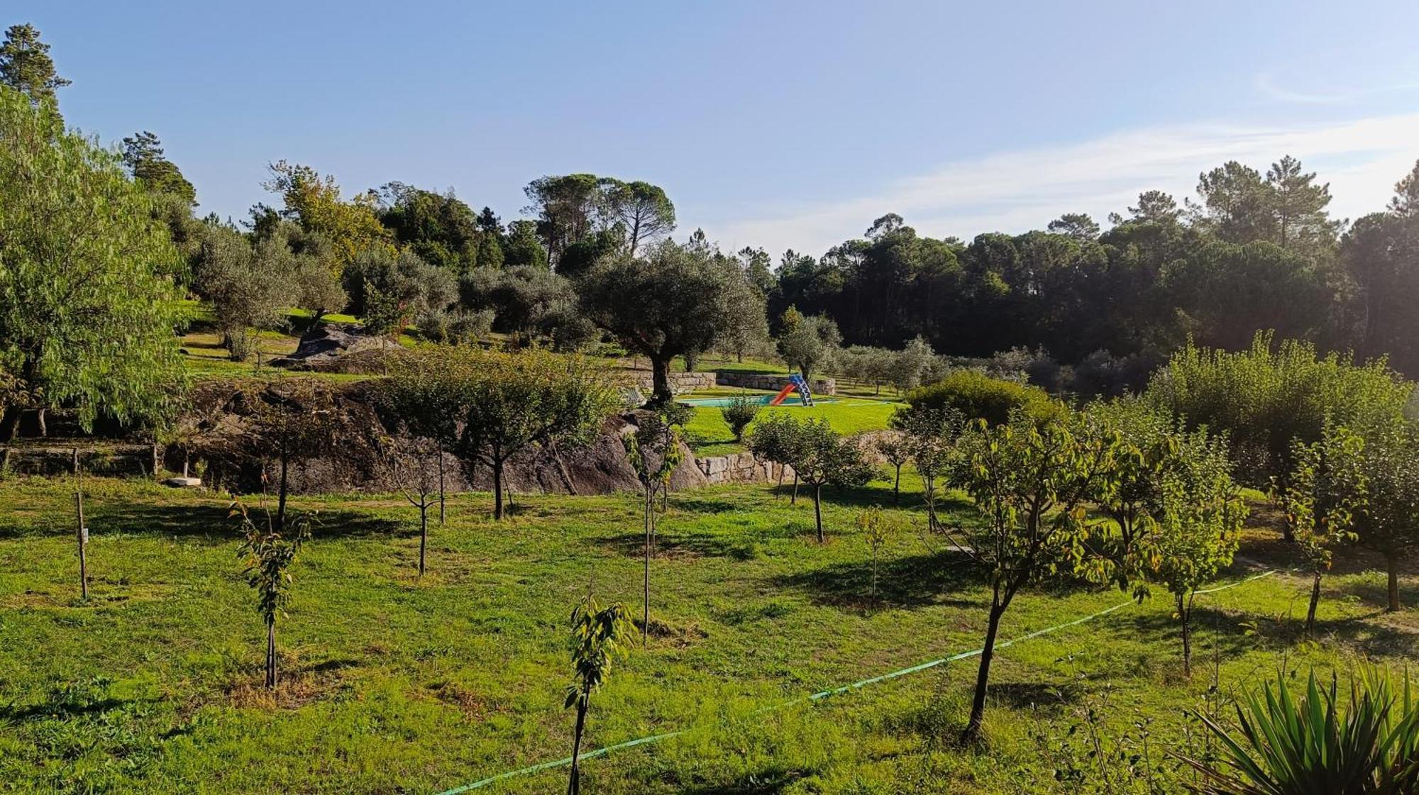 Quinta da Pedra Mija Affittacamere Santar Esterno foto