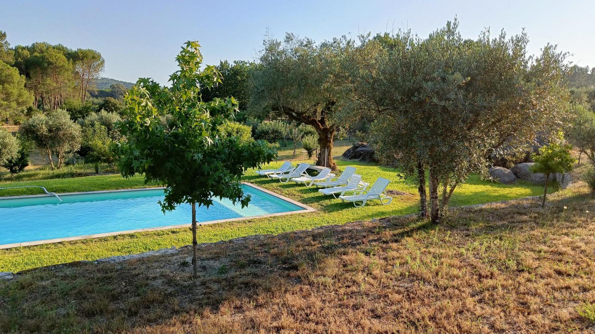 Quinta da Pedra Mija Affittacamere Santar Esterno foto
