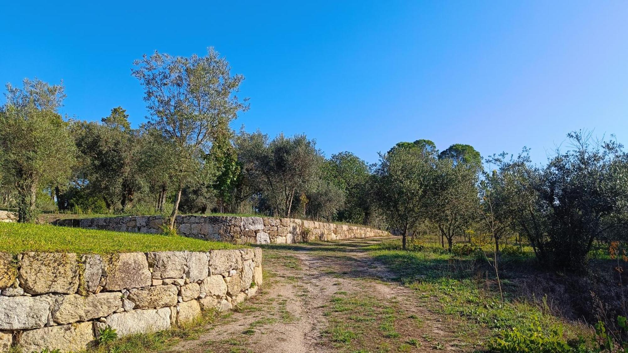 Quinta da Pedra Mija Affittacamere Santar Esterno foto
