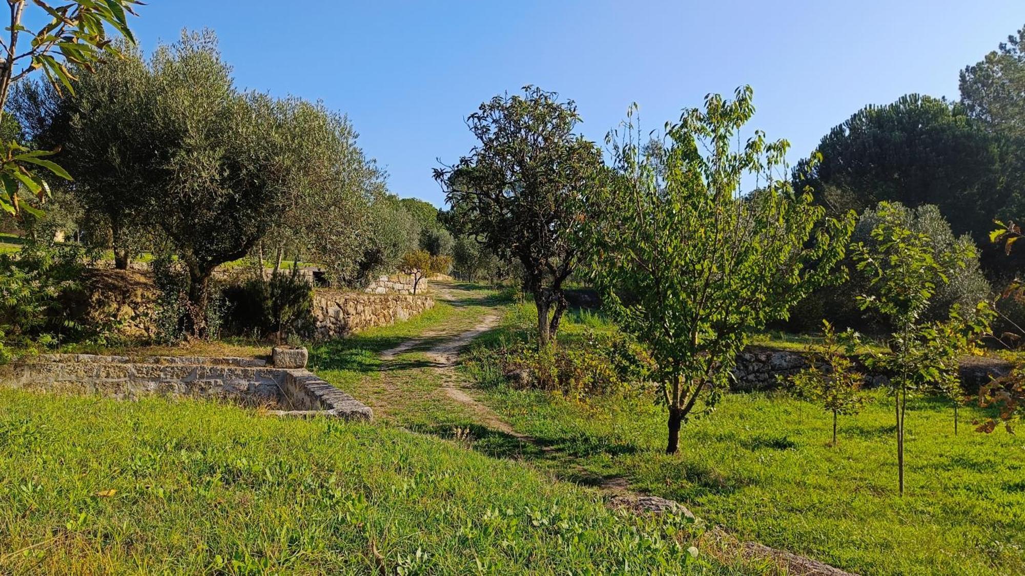 Quinta da Pedra Mija Affittacamere Santar Esterno foto