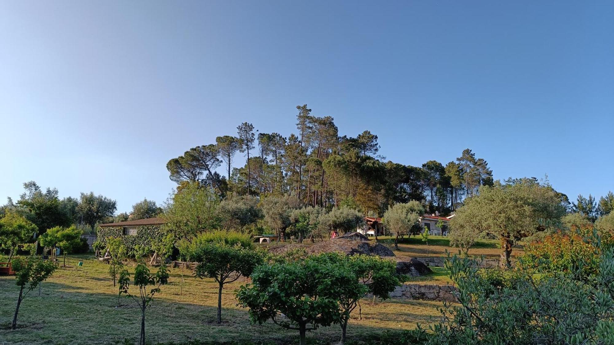 Quinta da Pedra Mija Affittacamere Santar Esterno foto
