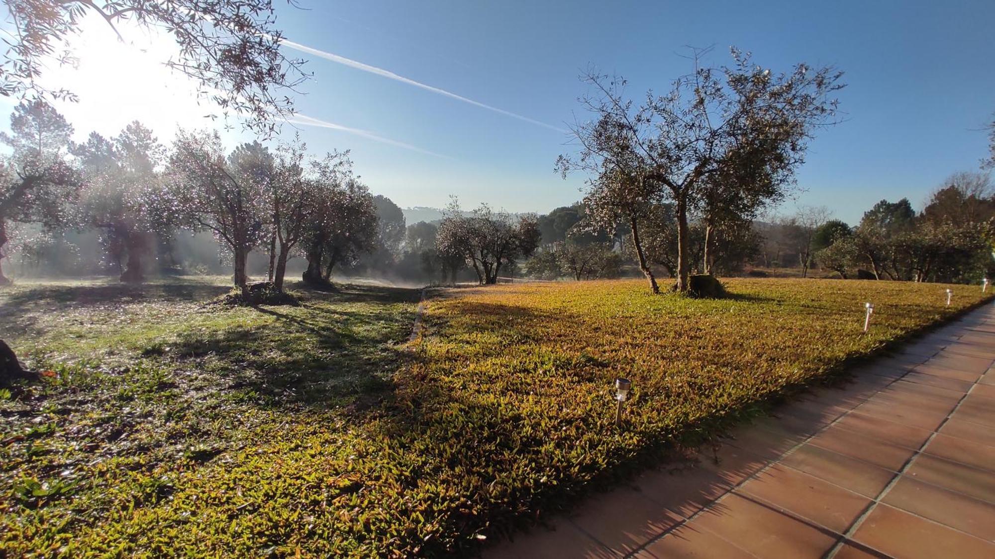 Quinta da Pedra Mija Affittacamere Santar Esterno foto