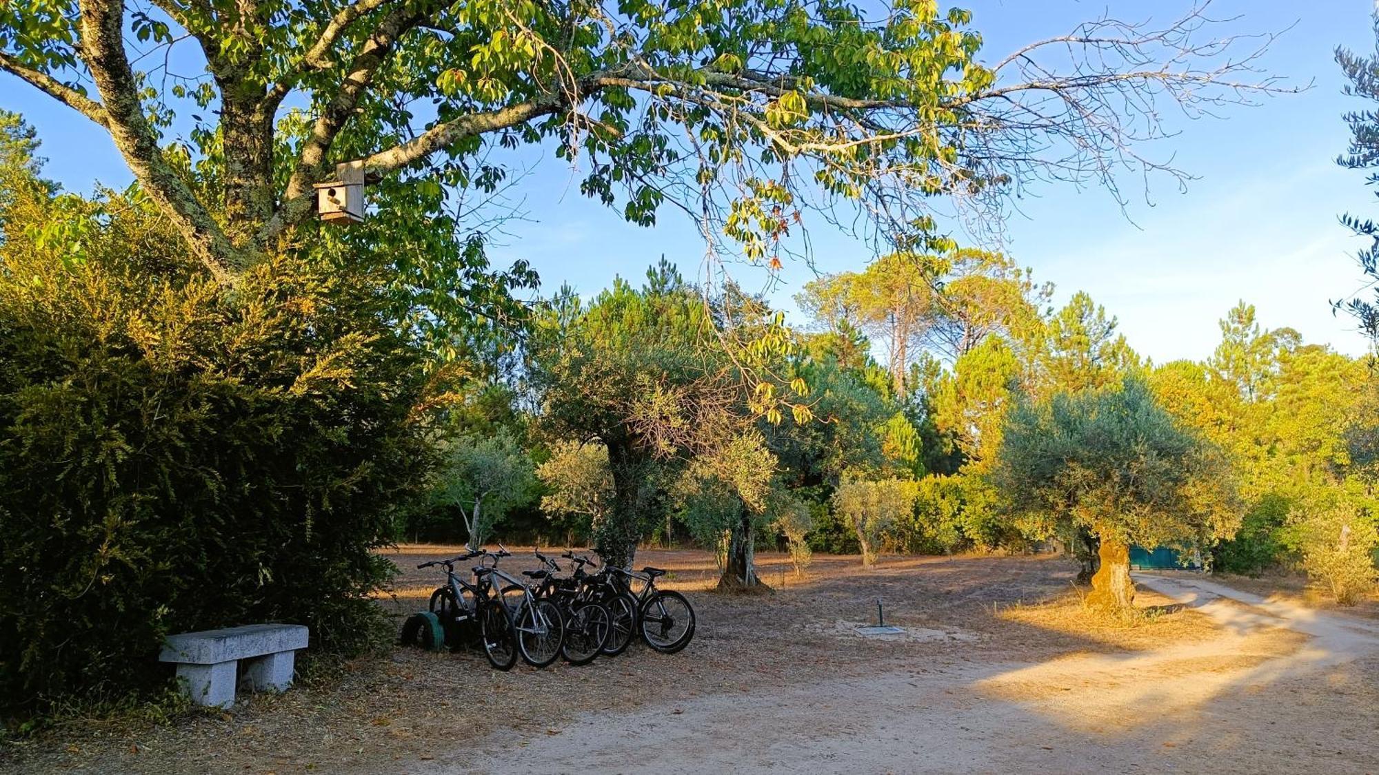 Quinta da Pedra Mija Affittacamere Santar Esterno foto
