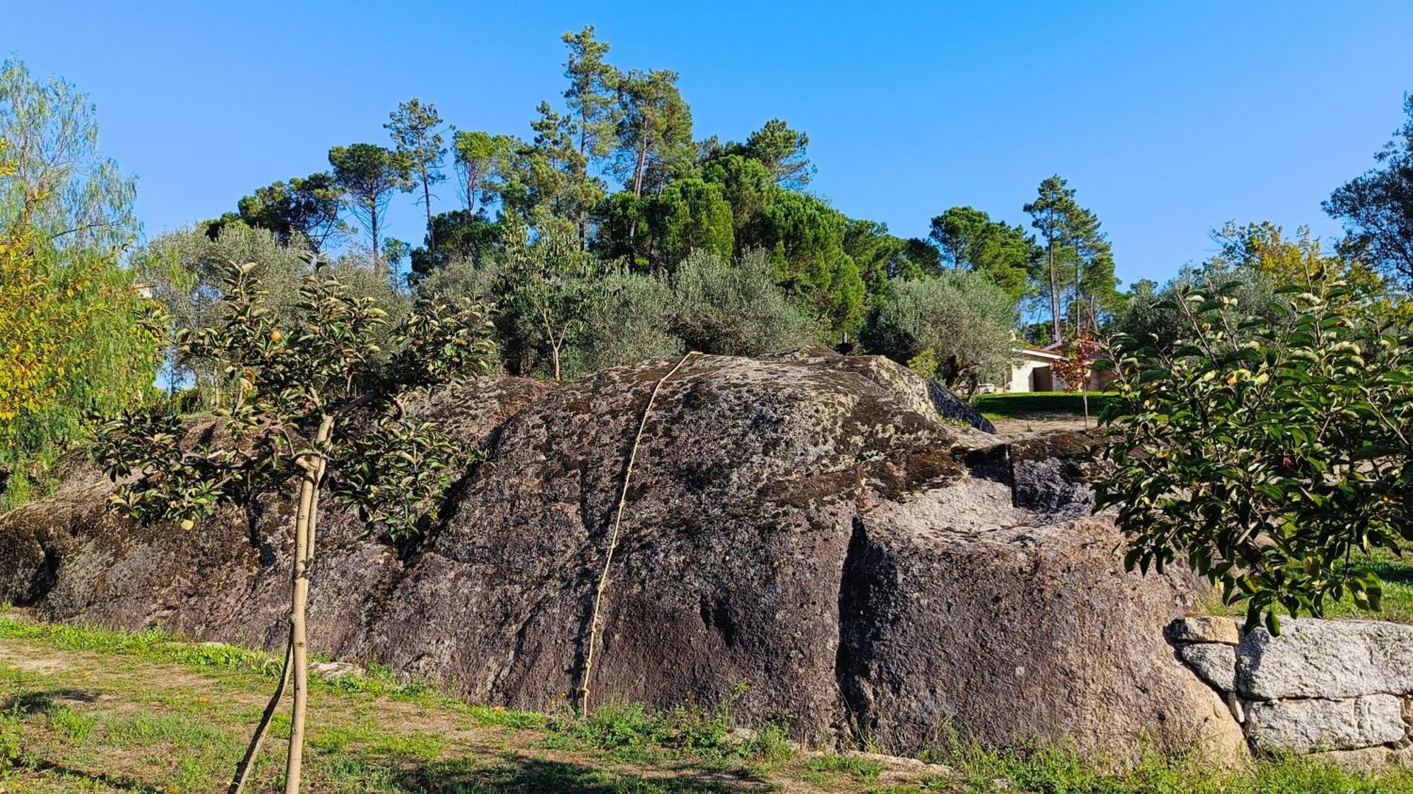 Quinta da Pedra Mija Affittacamere Santar Esterno foto