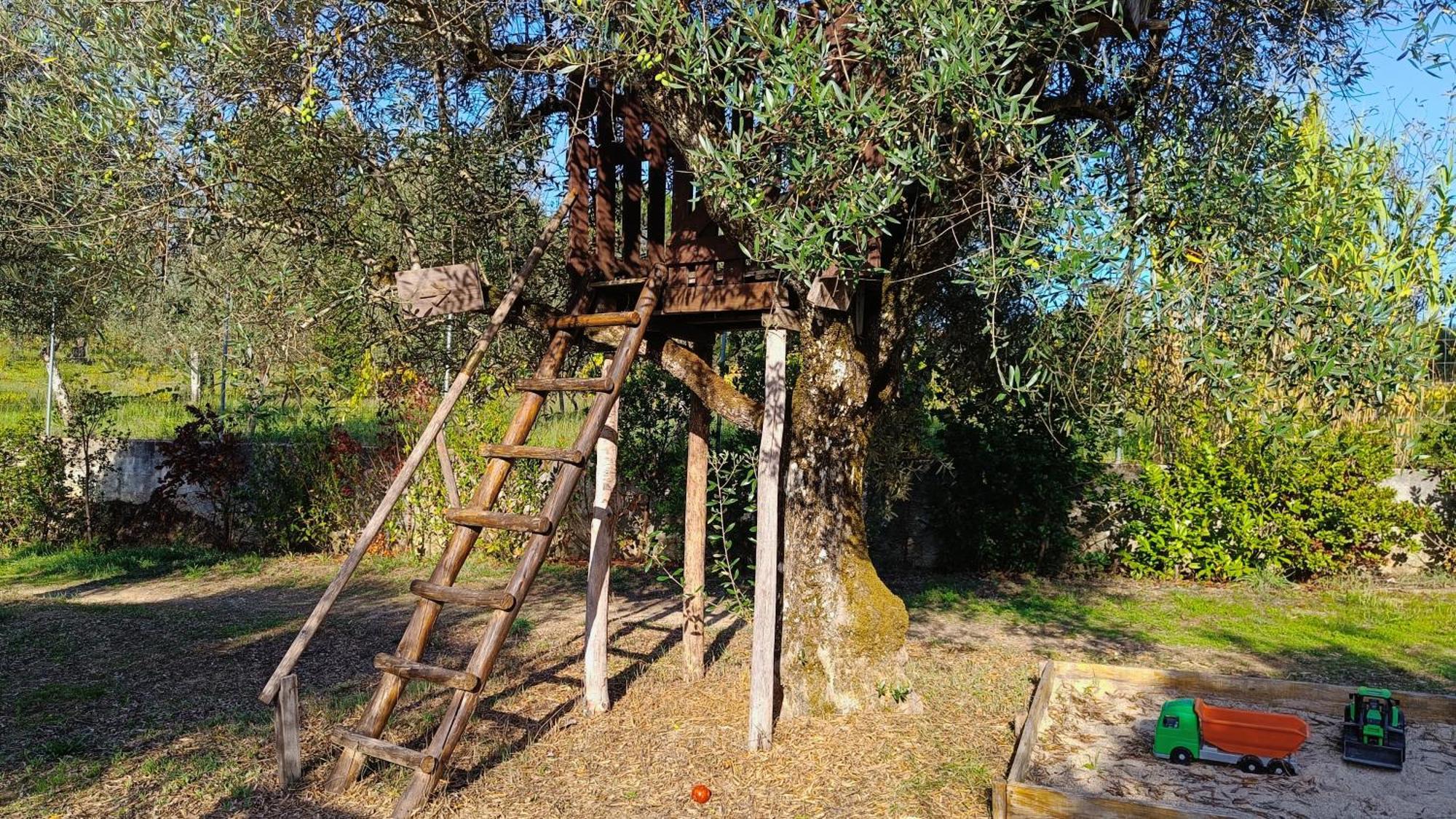 Quinta da Pedra Mija Affittacamere Santar Esterno foto