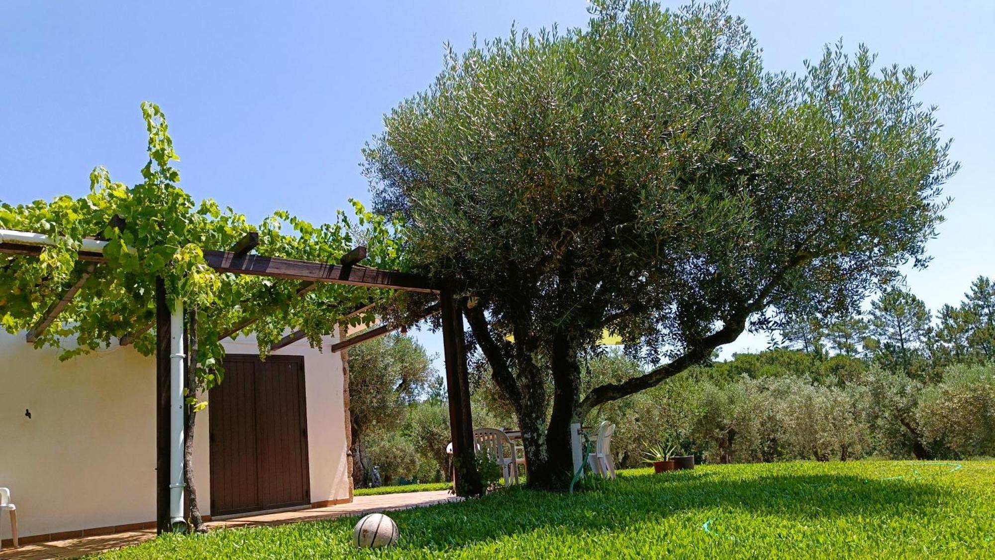 Quinta da Pedra Mija Affittacamere Santar Esterno foto