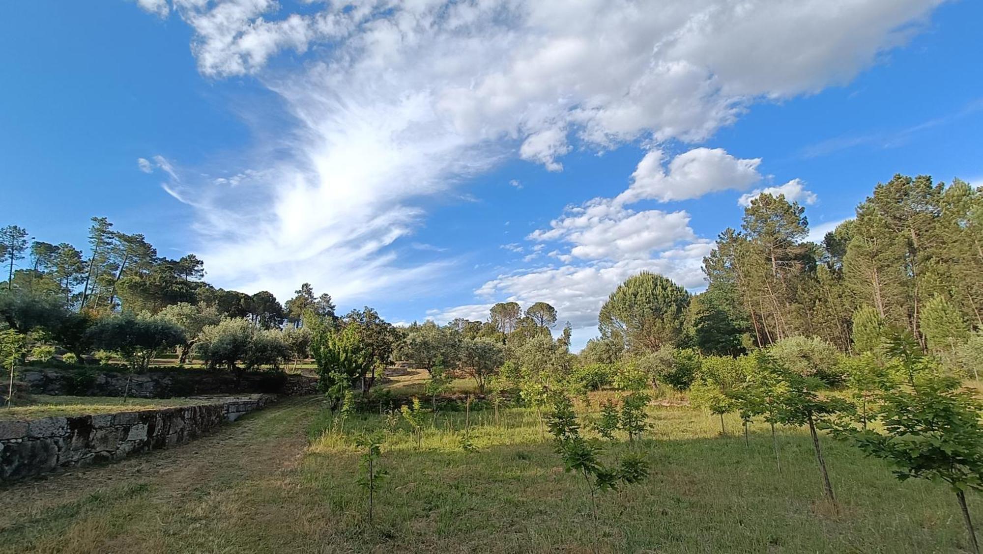 Quinta da Pedra Mija Affittacamere Santar Esterno foto
