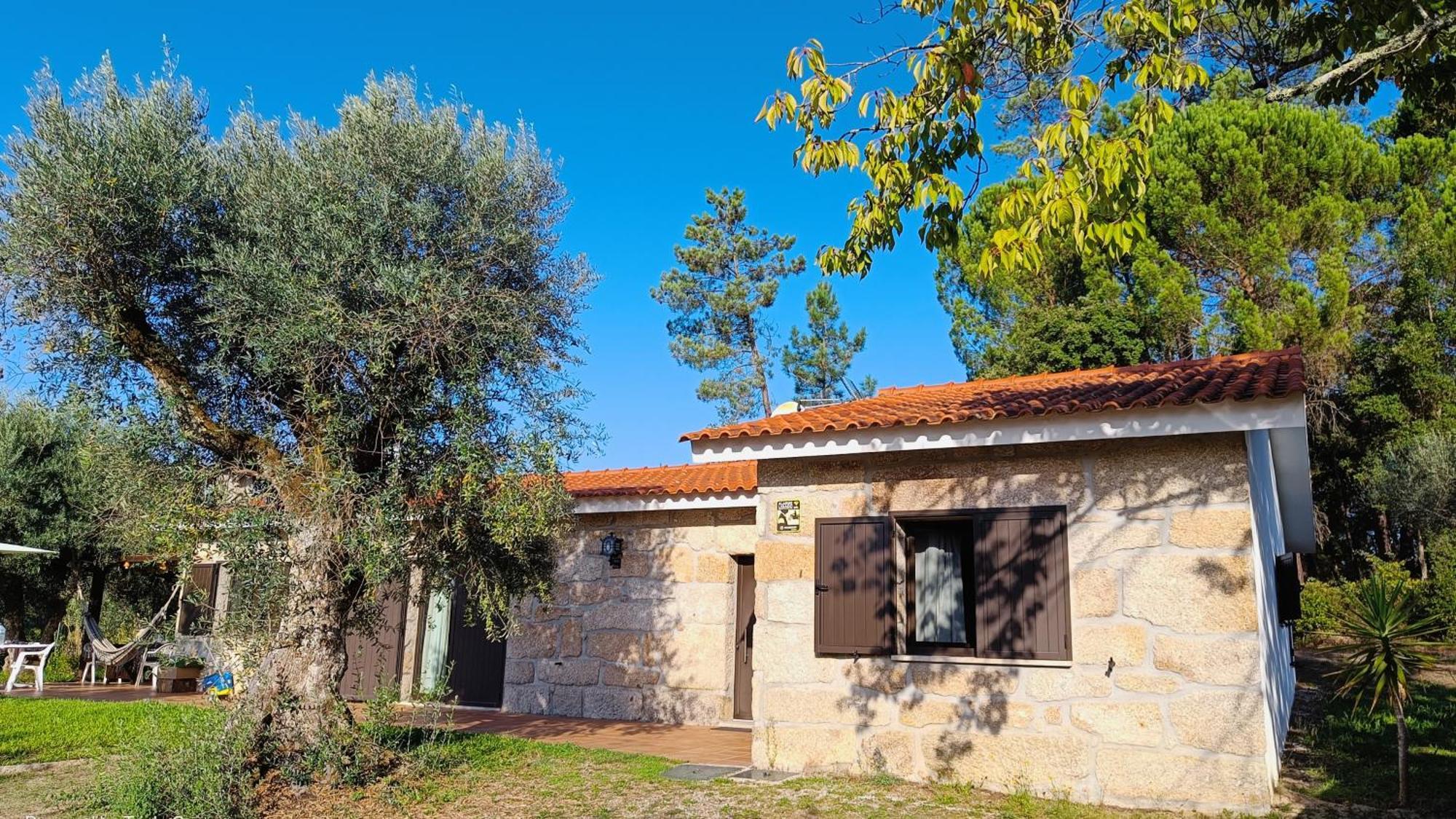 Quinta da Pedra Mija Affittacamere Santar Esterno foto