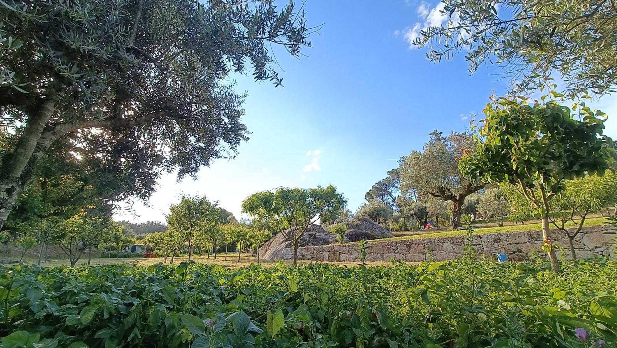 Quinta da Pedra Mija Affittacamere Santar Esterno foto