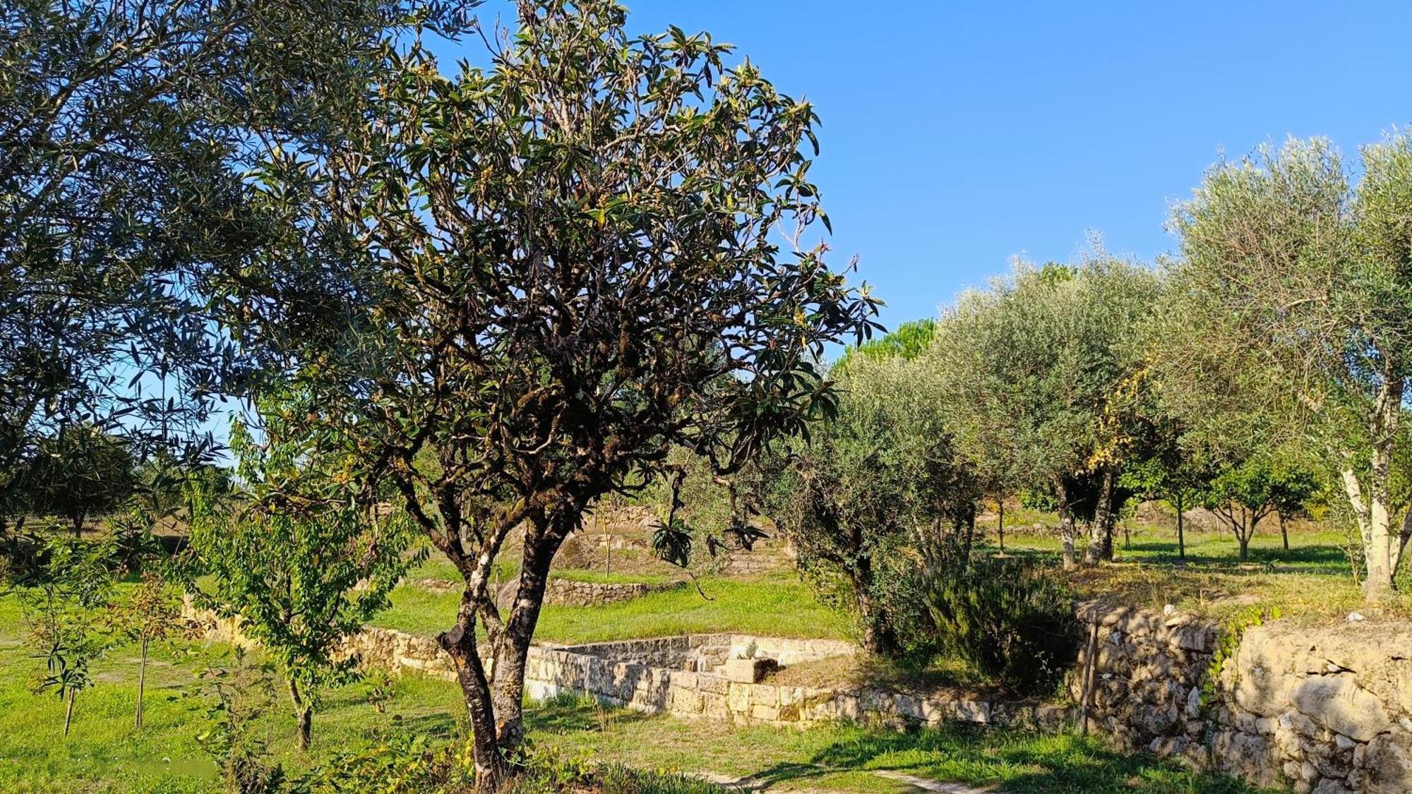 Quinta da Pedra Mija Affittacamere Santar Esterno foto