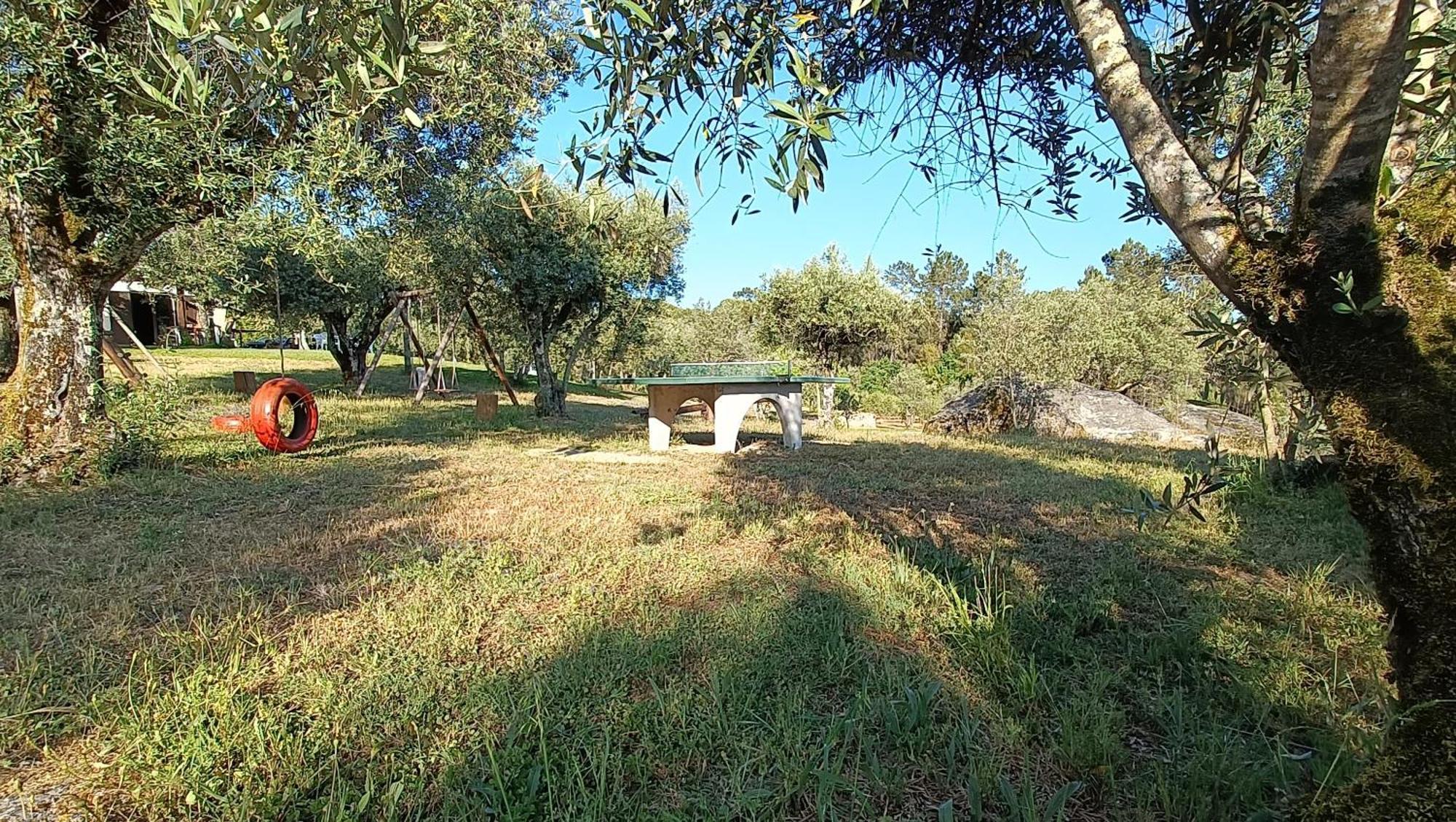 Quinta da Pedra Mija Affittacamere Santar Esterno foto